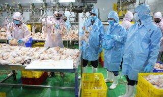 Bắc Ninh tăng cường kiểm dịch, kiểm soát giết mổ, bảo đảm an toàn thực phẩm dịp Tết Nguyên đán Bính Ngọ 